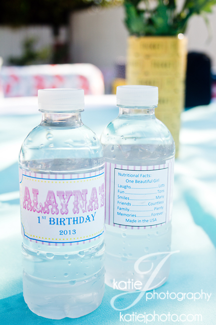 Alayna Birthday-3