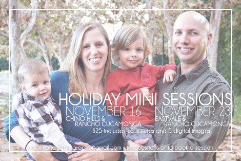 HolidayMinis2013