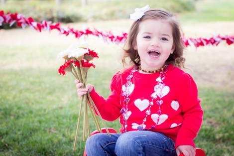 ValentineMini2014-BLOG-6